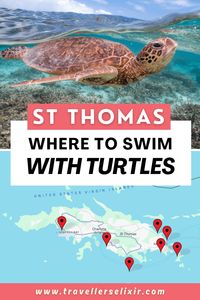 Want to swim with sea turtles in St Thomas? Here's a list of all the exact spots and locations where you can find sea turtles in St Thomas, US Virgin Islands.