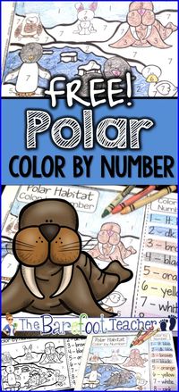 FREE Polar Animals Habitat Color-by-Number. By: The Barefoot Teacher