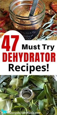 How to Dehydrate Food, How to Dehydrate Vegetables, How to Dehydrate Fruit, How to Dehydrate Meat, Easy Dehydrator Recipes, Self Sufficiency, Preserving Food