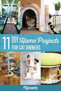 Check out 11 Creative DIY Home Projects for Cat Owners at http://diyready.com/11-creative-diy-home-projects-for-cat-owners/