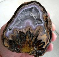 Amazing Coyamito agate(Frozen Explosion) from Northern Mexico. credit: AgateHill