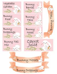 Bunny Party Food Tags for a Some Bunny's Birthday Table | Etsy