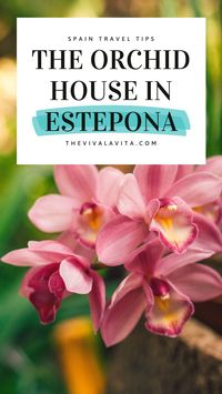 🥀🌻 Wondering what to do and what to see in Estepona, Spain? Come and join me for a tour of the Orchidarium, with 1500 species of orchids displayed! Things to do in Estepona | Estepona Travel Itinerary | Places to see in Estepona, Spain | Beautiful Places in Estepona, Spain | Estepona Old Town, Spain | Spain Travel Guide | Spain Travel Tips | Visit Southern Spain | Visit Andalusia