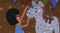 Bob's Burgers / animated