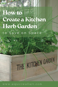 Do you long for the smell and taste of fresh herbs in your favourite dishes but find yourself limited on space to grow them? We have the answer a kitchen herb garden