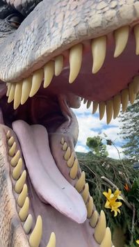 The T-Rex was a paid actor 🦖 Dive into a prehistoric adventure at Dinobeach, at @camelbackresortpa Camelbeach Outdoor Waterpark! 🏖️ Featuring 35 life-size animatronic dinosaurs, this immersive experience is perfect for families. Now open through September 2, 2024. Don’t miss out—hurry before this attraction goes extinct! 🦕🌴 #PoconoMountains #PoconoMtns #DinoBeach #MyCamelback