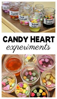 Candy Heart Experiments with free printable recording sheets. Perfect for Valentine's Day in preschool or kindergarten. #FunADay #Preschool #Kindergarten #PreschoolPrintables #Preschoolers #PreschoolActivities #ValentinesDay #PreschoolScience