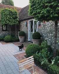 Betty is ready for the weekend 🐾🌳 . . . #home #jugsofinstagram #doglife #babypanther #englishhome #mycozyweekendcorner #countrylife #englishgarden #aliums #boxhedge #gardeninspo #countryliving #englishsummer #designinspo #ihavethisthingwithdoors #oxfordshire #doorsofinstagram #doorporn #reclaimedbrick #gardenlife #countryliving