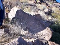 lobo pictographs from the jumano