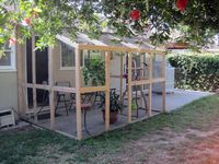 Indoor/Outdoor Aviary - How nice to be able to sit outside with the birds