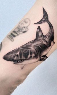 << Check out more Shark Tattoos, Ideas and Meanings #girlytattoos #tattooideas #tattoodesigns #tattoos #shark