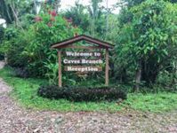 Exploring a Belize jungle resort: our stay at Ian Anderson’s Caves Branch Jungle Lodge