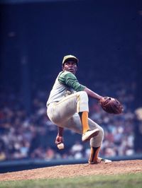 Vida Blue