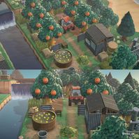 _ orange orchard 🍊 dirt path MA-9488-1972-2446 tags 🏷️ #animalcrossing #animalcrossingnewhorizons #acnh #nintendo #nintendoswitch… | Instagram