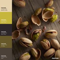 Fall evening with a bit of pistachio in deep, cold brown hues. As we approach winter, the shades go deeper and deeper. Deep burnt PANTONE 19-3909 TCX Black Bean is juxtaposed with sprinkle of saturated PANTONE 15-0646 TCX Warm Olive. #pantonecolor #pantone #colorpalette #fall #green #brown #pistachio #neutral · Pistacia Vera · Kid's Pattern