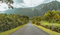 Ho'omaluhia Botanical Garden is one of Oahu's hidden gems. Here's everything you need to know about exploring this 400-acre oasis.