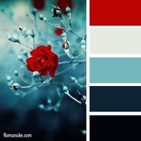 Aqua blue, cream and red. Very striking color pallette for a wedding, shower, party, or other special event.