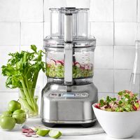 Breville 16-Cup Sous Chef™ Food Processor