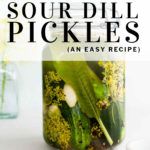 How to Make Garlic Dill Sour Pickles (Fermented Pickles!) | Nourished Kitchen