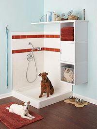 Doggy shower in the garage. Also for muddy children. This is so cute!