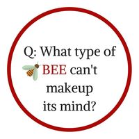 Click the visit button for the answer ; ) #beekeepersofinstagram #beestagram #honeybees #beesarefriends #honey🍯 #protectthebees #savethebees #beesting #beesafe #beehive #pollination #beestrong #beesuit #gardeners