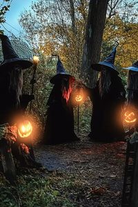 Save this for a mystical aesthetic that will turn your backyard into a spooky witchy garden this Halloween! Discover how simple decor like glowing pumpkins and eerie witches can transform your garden into a magical space. Pin it now for the perfect mystical Halloween vibe! #WitchyGarden #HalloweenDecor #MysticalAesthetic