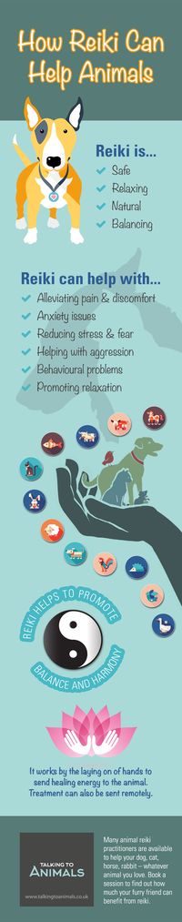 Look on this Infograph to see 'How Reiki Can Help Animals'; for more information about reiki and animals, click on the pin.