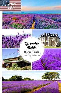 Stroll the Blanco lavender fields and be immersed in fields of purple this central Texas town. #TravelDestinationsUsaTexas