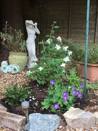 Mock Orange, painted fern, and wild geranium with natural rock border.  Background: Vergogna Phryne 155cm Statue from Enigma Vergogna Phryne 155cm Statue