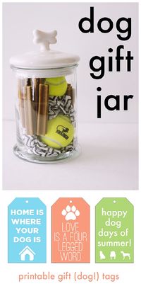 Do it Yourself Gift Basket Ideas for all Occassions - Dog Gift Jar Idea via AJ Wears Clothes