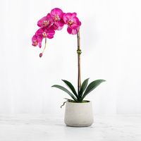 Beautiful single stem artificial orchid plant; real touch orchids handcrafted and styled in a gorgeous natural fiberclay textured planter. Using only the highest quality silk orchids, this beauty will grace you with natural looking blooms year-round! Perfect accent to any room; sits pretty on an entryway table, kitchen countertop, desktop, living room, or in the bedroom or bathroom. #artificialorchids #orchidplant #artificialorchidplant #homedecor #houseplant #fauxplants