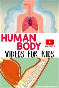 Human Body Videos for Kids - Primary Theme Park