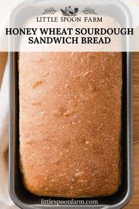 Honey wheat sourdough sandwich bread is made with a combination of whole wheat and bread flour for a soft sandwich bread that stays fresh for days. It can be mixed and baked on the same day!