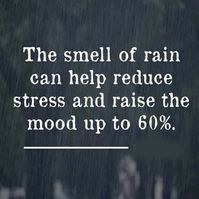 the smell of rain can help reduce stress and traise the mood up to 60%. #rain #lifehacks