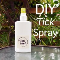 Make this eco-friendly tick repellant that really works! You can use it on yourself or your pets.