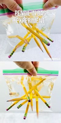 This amazing Pencil in Water Bag Experiment is a cool science project for kids that creates an instant wow factor. Simple easy science experiment for kids #hellowonderful