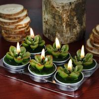 Echeveria Succulent Tea Light Candles | 6 PCS | Gift Wrapped with Clear PVC Box & Thank You Tag | eFavorMart