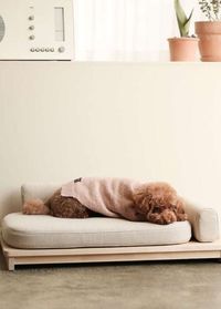 20 Dog Corner Ideas Your Fur Babies Will Adore