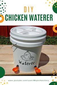 Learn how to make your own easy poultry waterer using poultry cups and a 5-gallon bucket. #diywaterer #homesteading #chickenwaterer