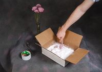 Preserving flowers with Borax