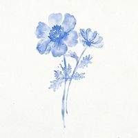 Blue flower clip art, floral watercolor design | free image by rawpixel.com / ton