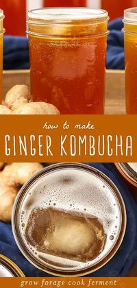 Discover How to Make Ginger Kombucha with our guide from Fermented Soda Recipes & Kombucha. This simple second ferment process results in a fizzy and flavorful probiotic drink that's easy to assemble. Perfect for those new to fermentation or looking for gut-healthy beverages. Dive into the world of homemade kombucha and explore more kombucha flavors today. Find more at growforagecookferment.com