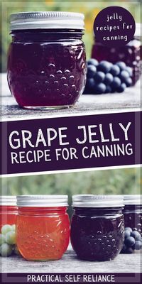 Grape Jelly Recipe for Canning: Jelly Recipes for Canning - If you're looking for grape jelly recipes for canning, you'll love this homemade grape jelly. Learn how to make homemade grape jelly from fresh grapes or grape juice, pectin, and sugar. Incudes easy, step by step instructions for canning!