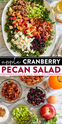 Dive right into this seasonal salad! Complete with bacon, celery, and feta, this apple cranberry salad recipe is a healthy food idea you'll surely love. Serve this easy healthy side dish at your next gathering!