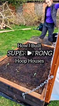 20K views · 1.3K reactions | Hoop houses work just like greenhouse does much on a smaller scale. You get protection fromost bugs or rodents, extended growing season and protection from extreme weather. 
.
.
.

#homesteadhusband #gardenideas #growyourownfood #hoophouse #diyideas #diy #homesteadprojects #cheapbuild #greenhouse #greenthumb #carpentry #carpentryskills #growfoodnotlawns | Homestead Husband | Homestead Husband · Original audio