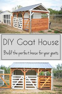 This adorable DIY goat shed is the perfect little home for your goats, or any small livestock! The mix of white and cedar accents makes this goat shed look beautiful but keeps it affordable! The small size of the goat shed is perfect for even the smallest of homesteads! Start your homestead with free plans to build this tiny goat barn!