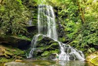 The Easy Hike To Catawba Falls In North Carolina Is Ideal For All Skill Levels