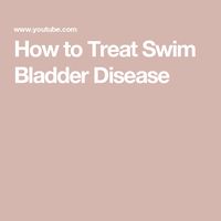 How to Treat Swim Bladder Disease