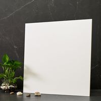 Walkon Tile Element 24" x 24" Porcelain Concrete Look Wall & Floor Tile & Reviews | Wayfair