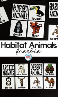 Habitat Puzzles Printable is the perfect addition to your science lesson plans. This free science printable is perfect for preschool, kindergarten, and first grade students.